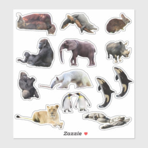 Adesivo Vinheta-vinil de animais selvagens