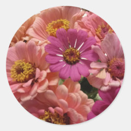 Adesivo Vinheta Zinnias Rosa
