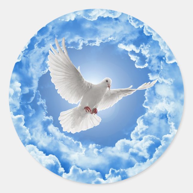 Adesivo Vinhetas (Frente)