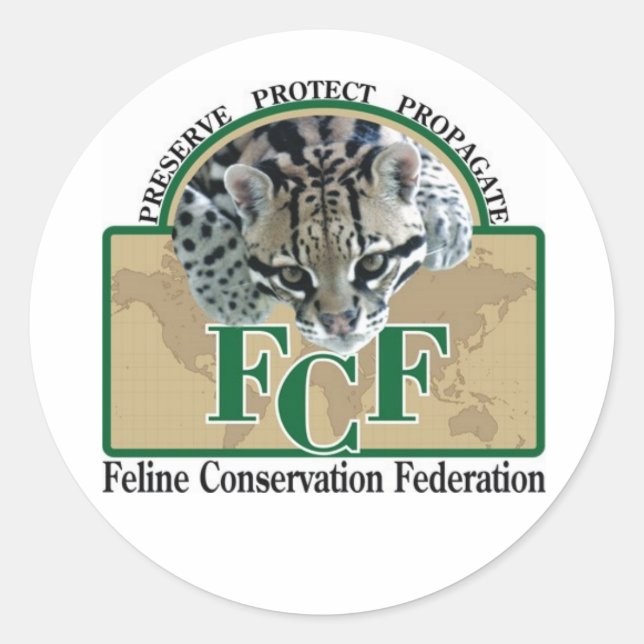 Adesivo Vinhetas (Frente)