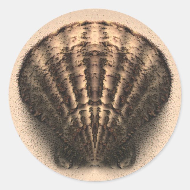 Adesivo Vinhetas (Frente)