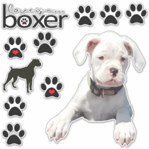 Adesivo Vinhetas Brancas Diversas Para Carros De Cão