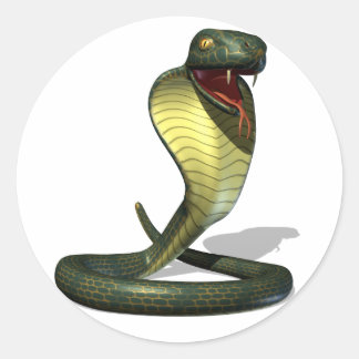 Adesivo Vinhetas Cobra