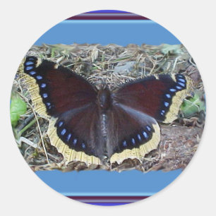 Adesivo Vinhetas da Borboleta de Capa de Luto