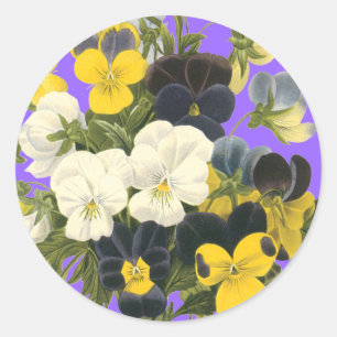 Adesivo Vinhetas de Arte Botânica para Violetas Pansy