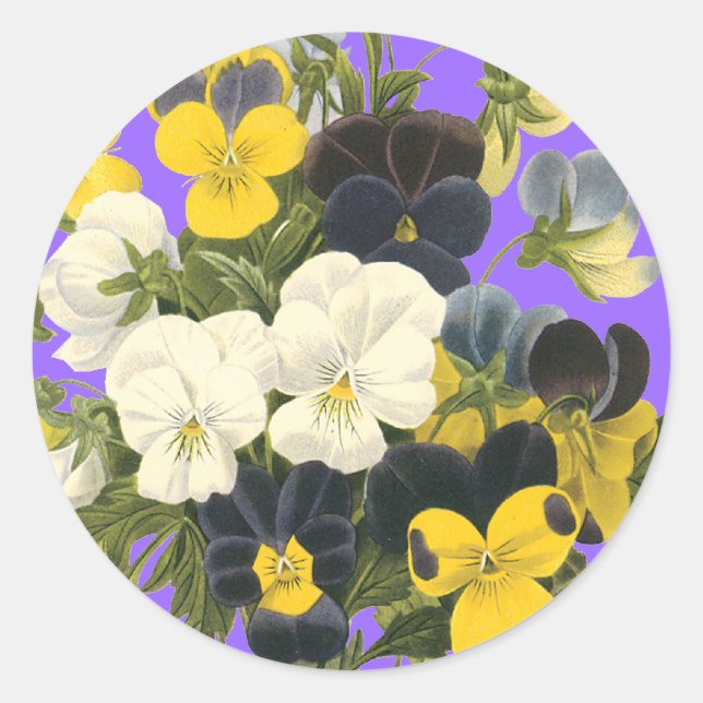 Adesivo Vinhetas de Arte Botânica para Violetas Pansy (Frente)