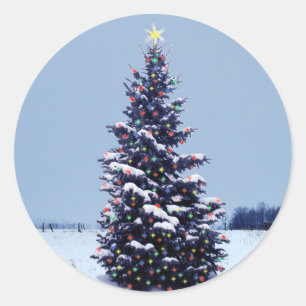 Adesivo vinhetas de árvores de Natal