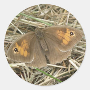 Adesivo Vinhetas de Borboleta Marrom-prateada