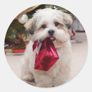 Adesivo Vinhetas de Cachorro de Natal