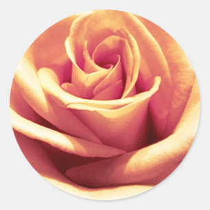 Adesivo Vinhetas De Envelope Laranja-Pêssego