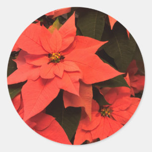 Adesivo Vinhetas de Envelopes de Natal Vermelho