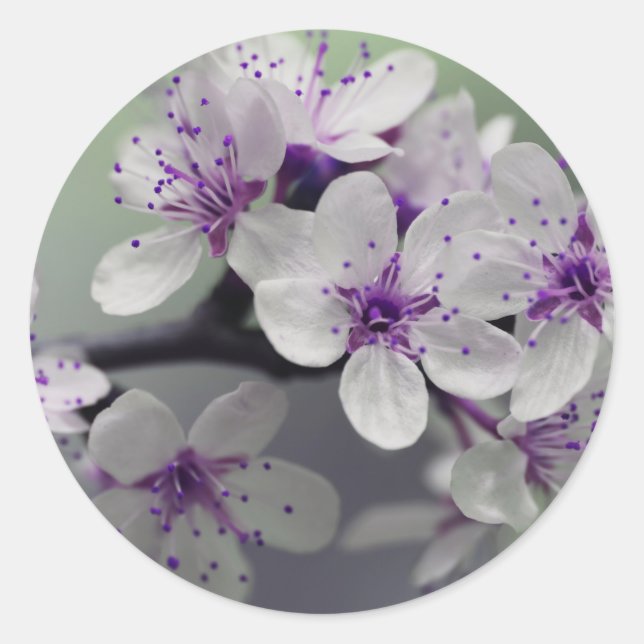 Adesivo vinhetas de flores (Frente)