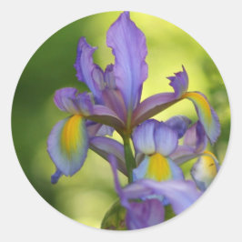 Adesivo Vinhetas de flores de Íris