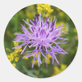 Adesivo Vinhetas de flores silvestres roxas raptadas