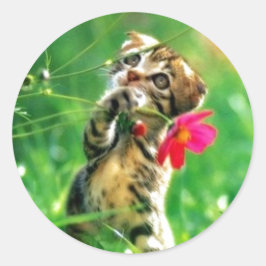 Adesivo Vinhetas de Forma do Círculo de Cristóvão