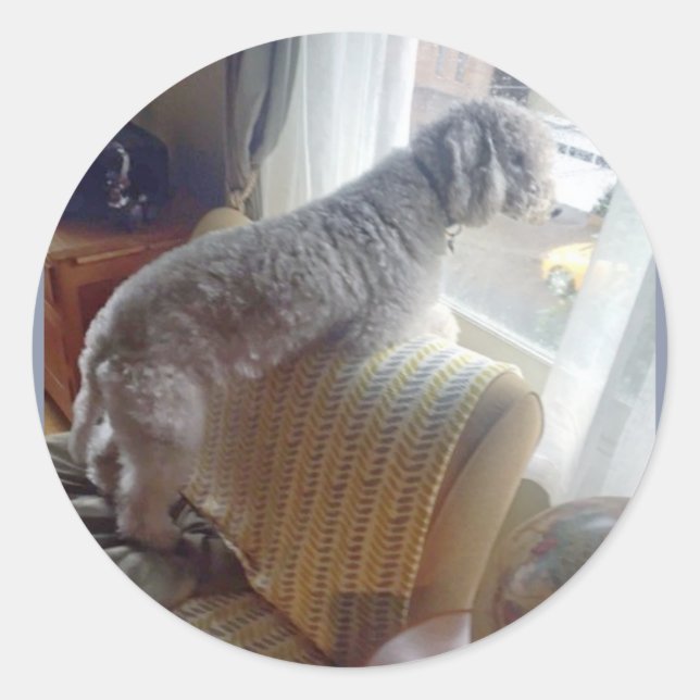 Adesivo Vinhetas de fumo! (Frente)