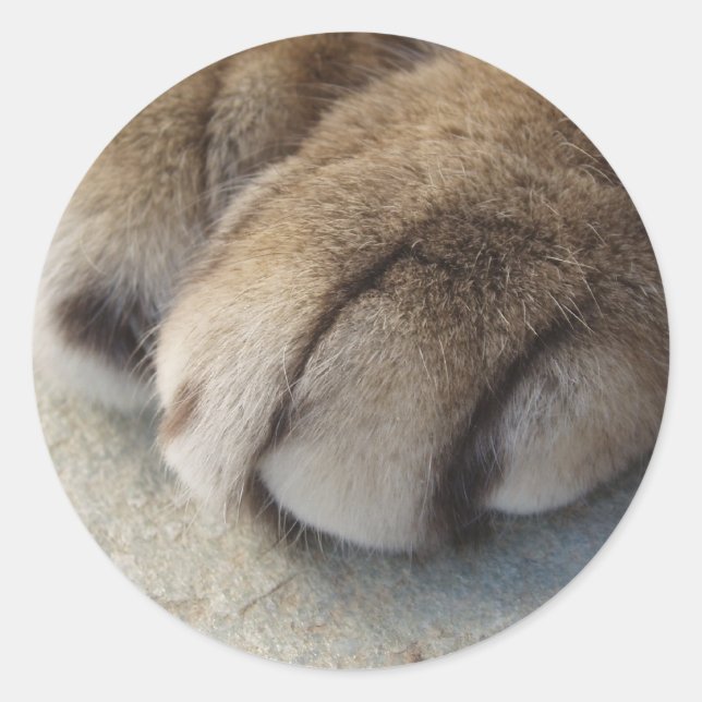 Adesivo Vinhetas de Gato (Frente)