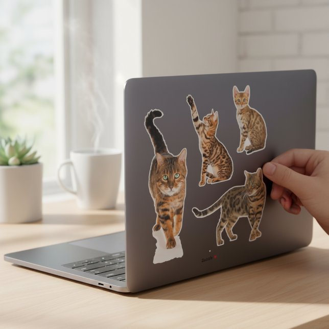 Adesivo Vinhetas de Gato Bengala (Bengal Cat Stickers)