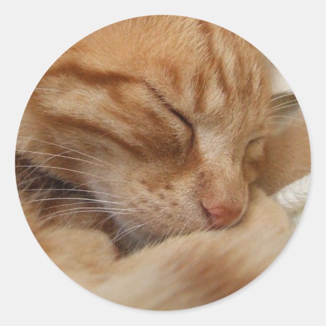 Adesivo Vinhetas de Gato Cortado (Frente)