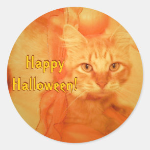 Adesivo Vinhetas de Gato Halloween