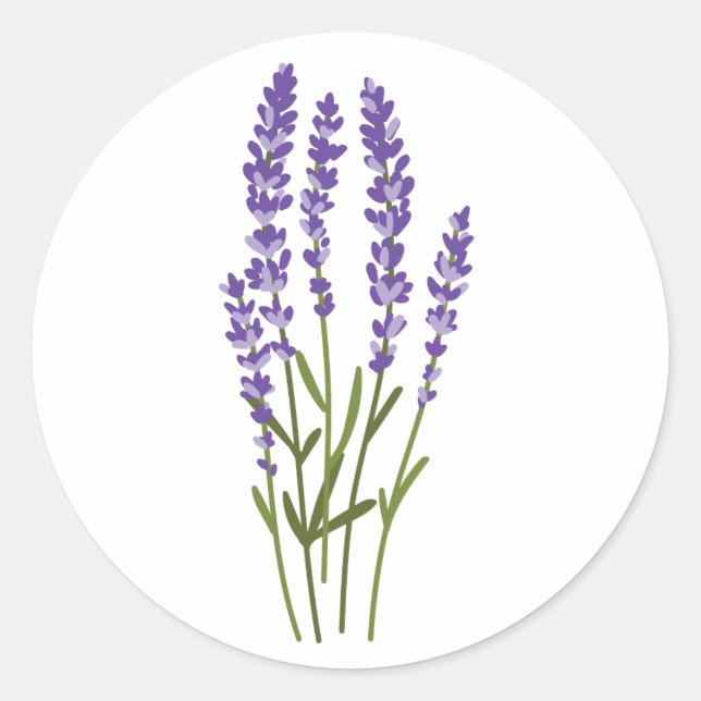 Adesivo vinhetas de lavanda flores de aquarela herbáceas (Frente)