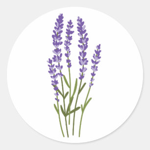 Adesivo vinhetas de lavanda flores de aquarela herbáceas