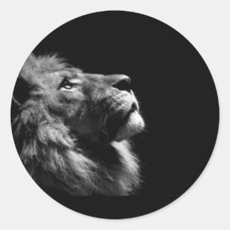 Adesivo Vinhetas de leão