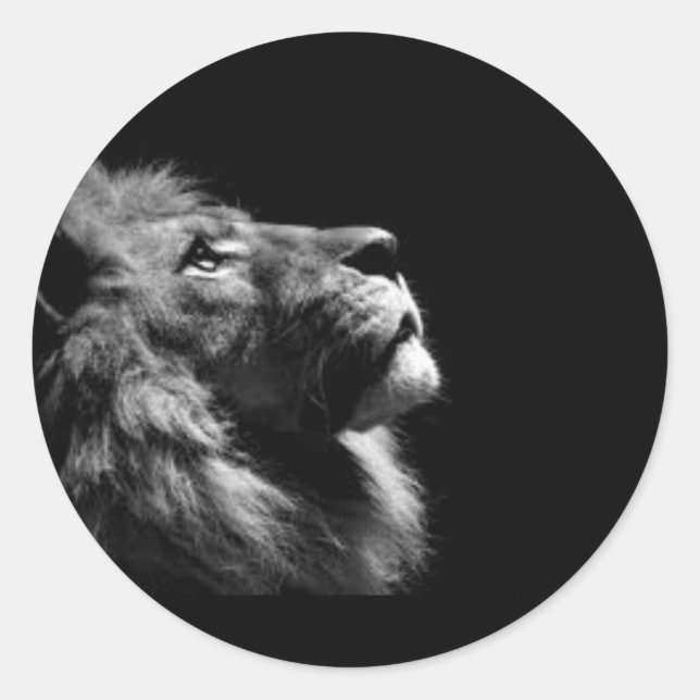 Adesivo Vinhetas de leão (Frente)