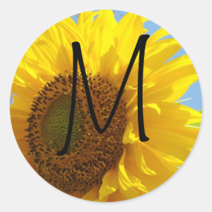 Adesivo Vinhetas de monograma Envelope Selos de letras