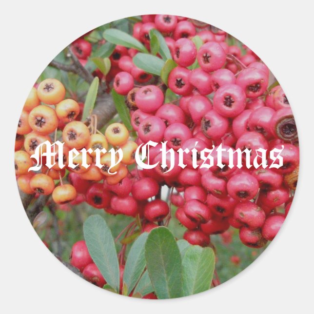 Adesivo Vinhetas de Natal das Berries Vermelhas (Frente)