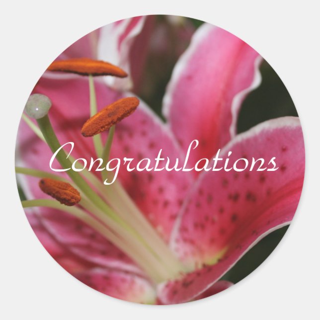 Adesivo Vinhetas De Parabéns Para Presentes (Frente)