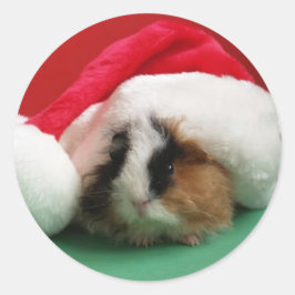 Adesivo Vinhetas de porco de Natal legal