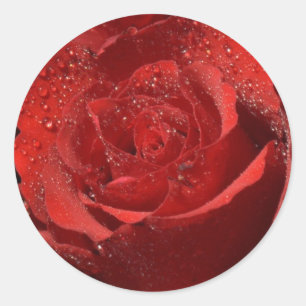 Adesivo Vinhetas de rosa vermelha e selos de envelopes