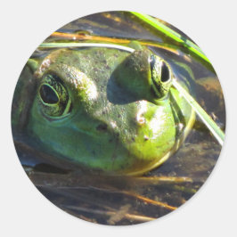 Adesivo Vinhetas de Sapo