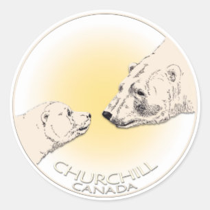 Adesivo Vinhetas de Urso Polar Churchill Canadá