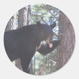 Adesivo Vinhetas de Urso Preto