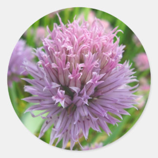 Adesivo Vinhetas de urticária brilhantes