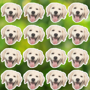 Adesivo Vinhetas de Vinilo à prova d'água personalizadas