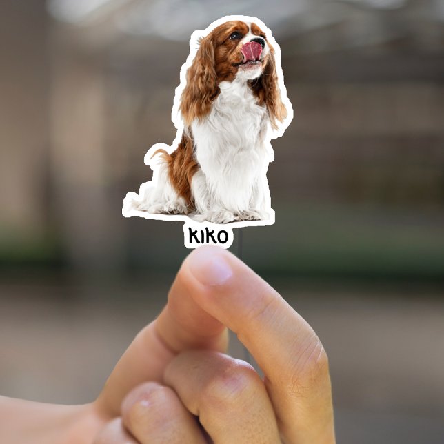 Adesivo Vinhetas de Vinilo à prova d'água personalizadas (Criador carregado)