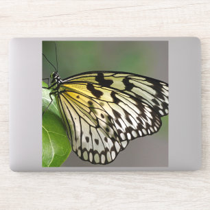 Adesivo Vinhetas de vinilo de corte personalizado de 8" x