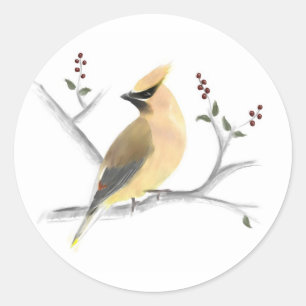 Adesivo Vinhetas de Waxwing Cedar de Aquarelas