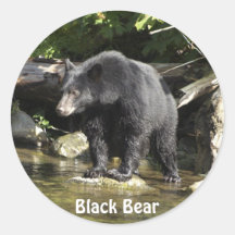 Vinhetas do Urso Negro