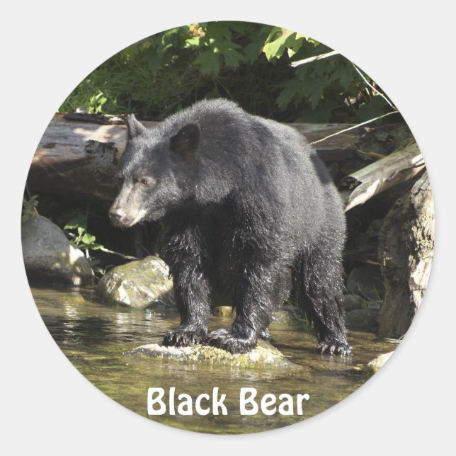 Adesivo Vinhetas do Urso Negro (Frente)