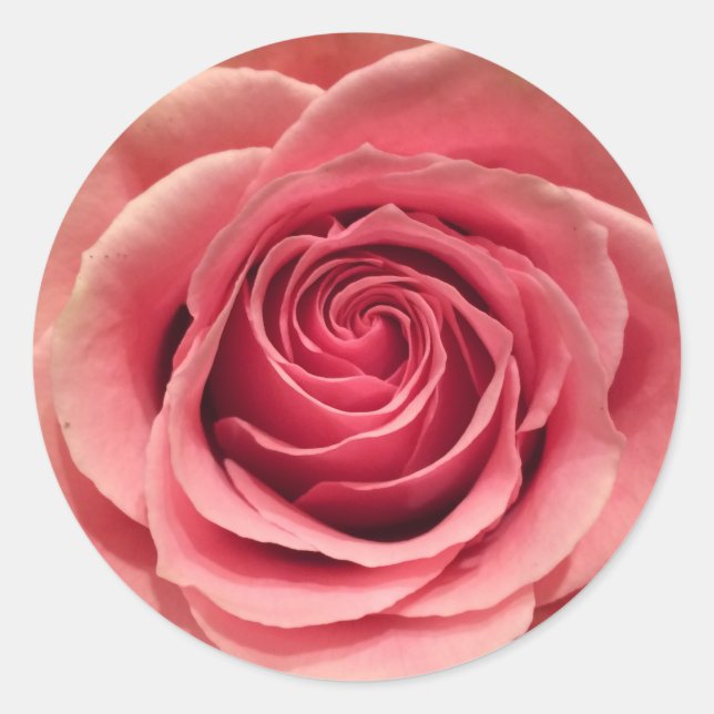 Adesivo Vinhetas em forma rosa Round (Frente)