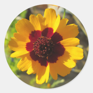 Adesivo Vinhetas - Flor em Aberto