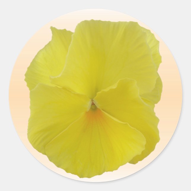 Adesivo Vinhetas - Limão Pura (Frente)