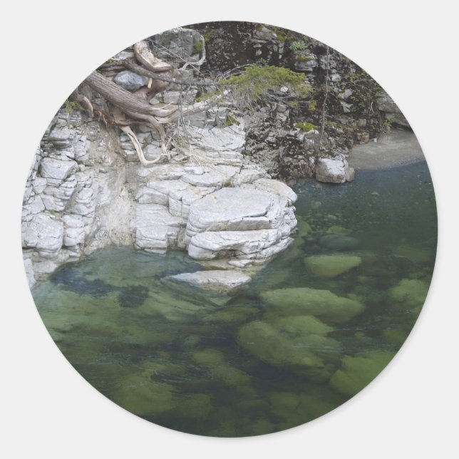 Adesivo Vinhetas Motivacionais FLORESTAIS (Frente)