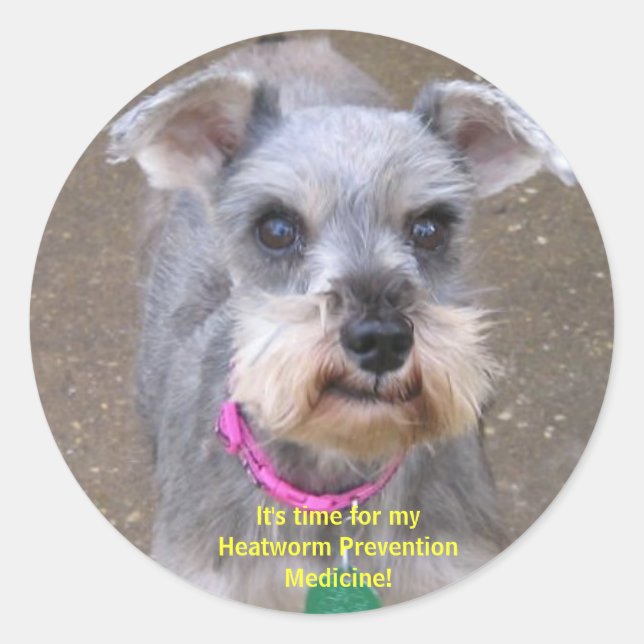 Adesivo Vinhetas para Remetentes de Medicamentos para Uso  (Frente)