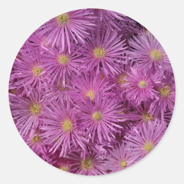 Adesivo Vinhetas para vedação de envelopes vermelhos (Frente)