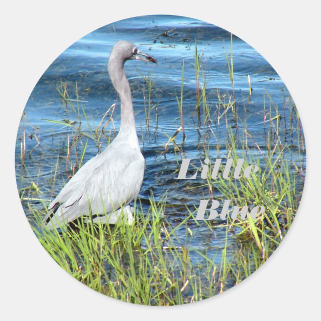 Adesivo Vinhetas, Pequeno Azul (Frente)